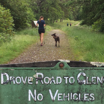 A year of Mountain Marathons