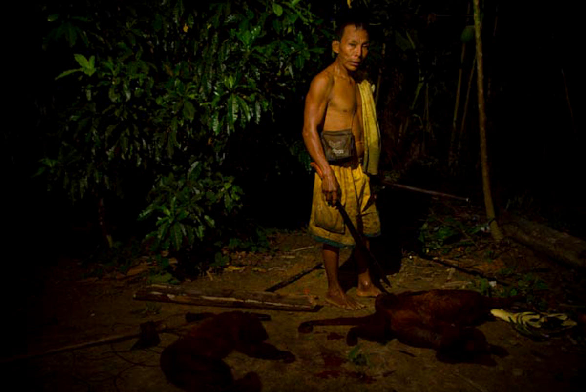 Amazonia Calling