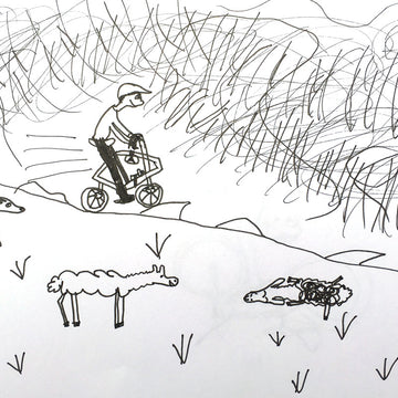 Trans Eryri: Cycling Uk's new bikepacking route