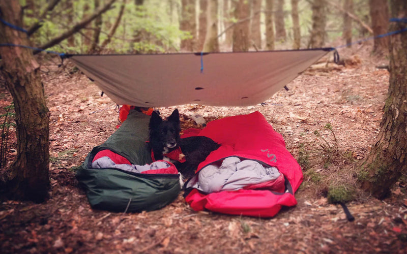 A double bivvy underneath a tarp