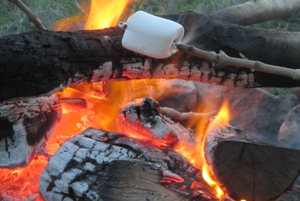Pupils gathered round a campfire during a Duke of Edinburgh Award expedition