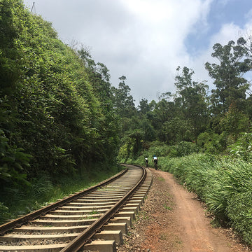 Cycling in Asia