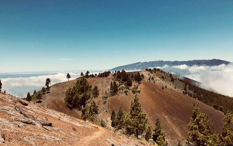 The Transvulcania